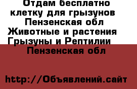 Отдам бесплатно клетку для грызунов - Пензенская обл. Животные и растения » Грызуны и Рептилии   . Пензенская обл.